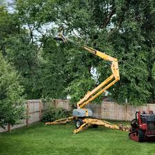 Best Hedge Trimming  in Rosemont, CA